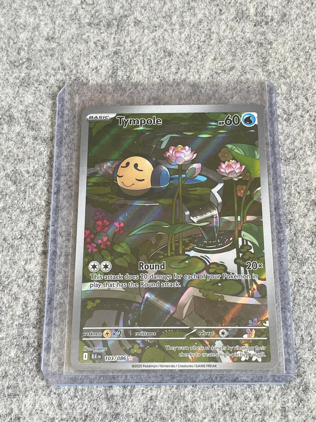 Tympole Black Bolt 103/086 Pokémon TCG